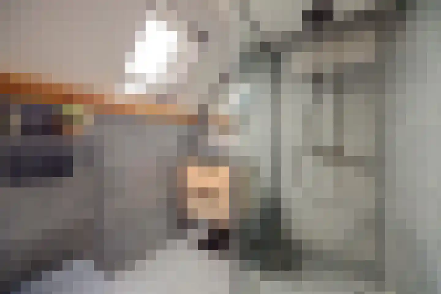 Riekvoorde 16 Spijkenisse thumbnail 18