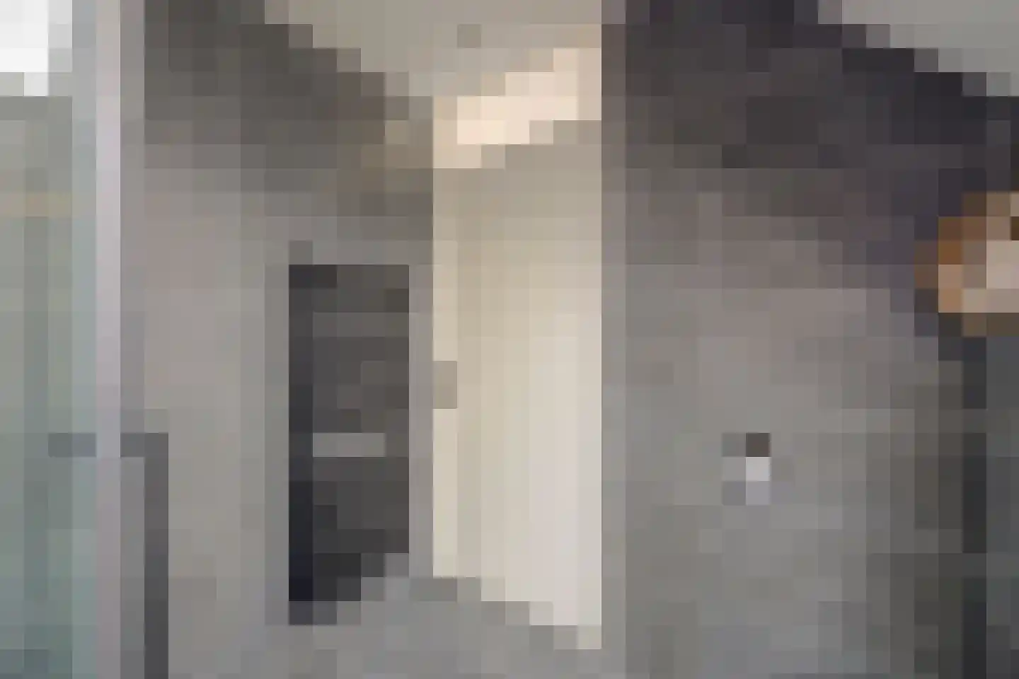 Riekvoorde 16 Spijkenisse thumbnail 19