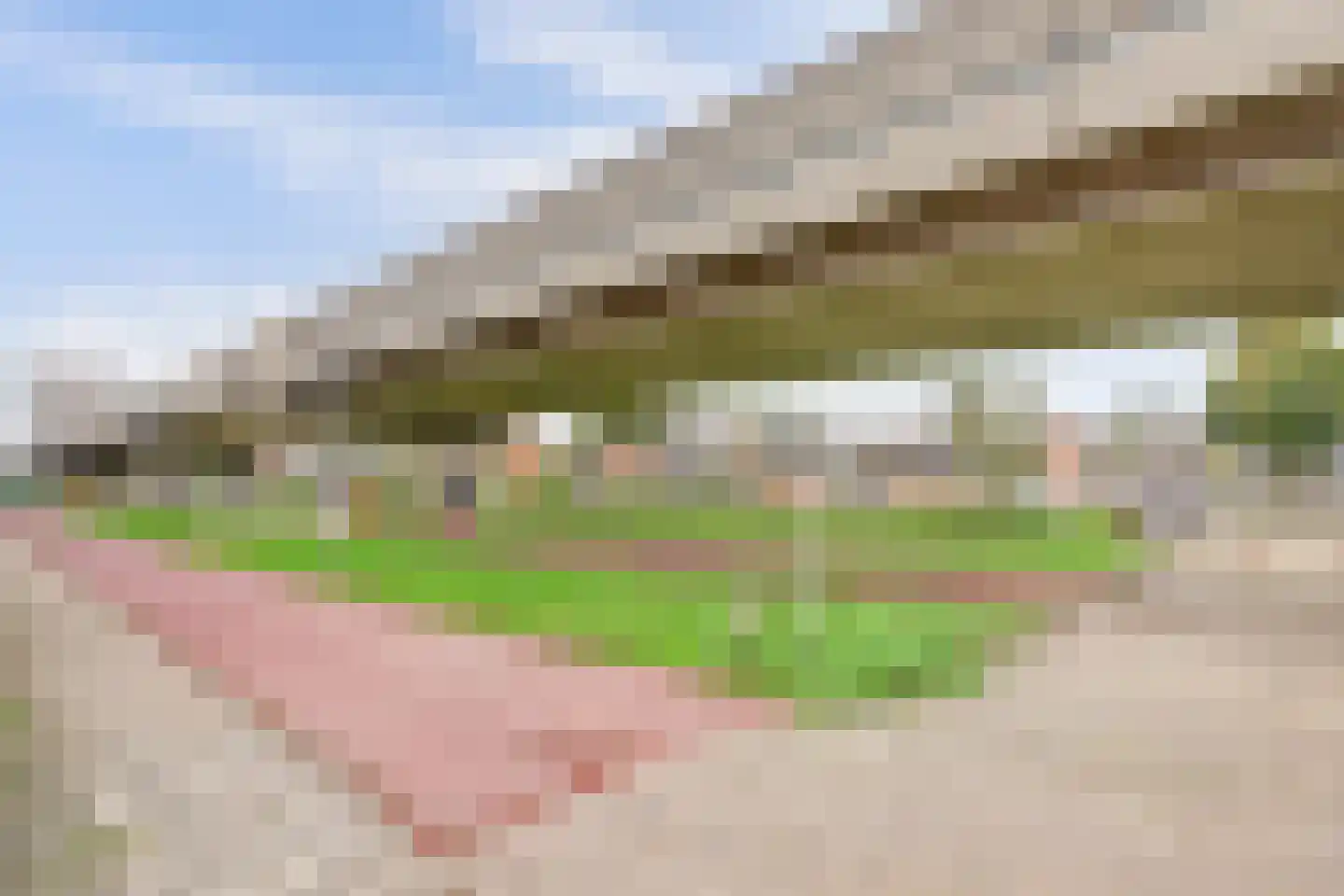 Riekvoorde 16 Spijkenisse thumbnail 28