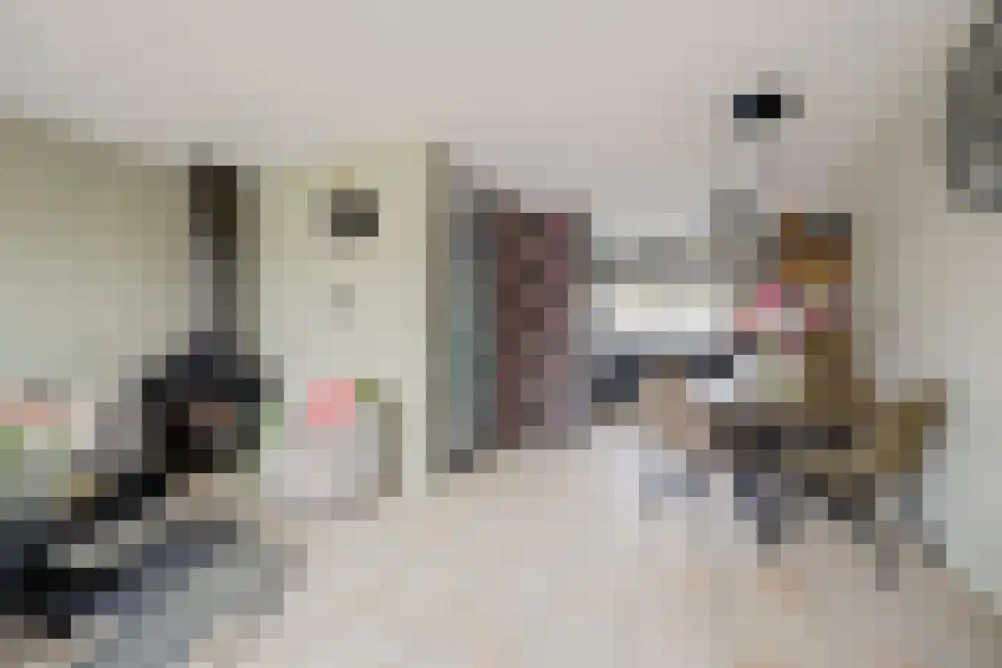 Riekvoorde 16 Spijkenisse thumbnail 9