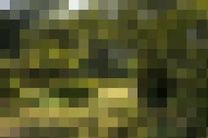 Riel 7 Eindhoven thumbnail 12