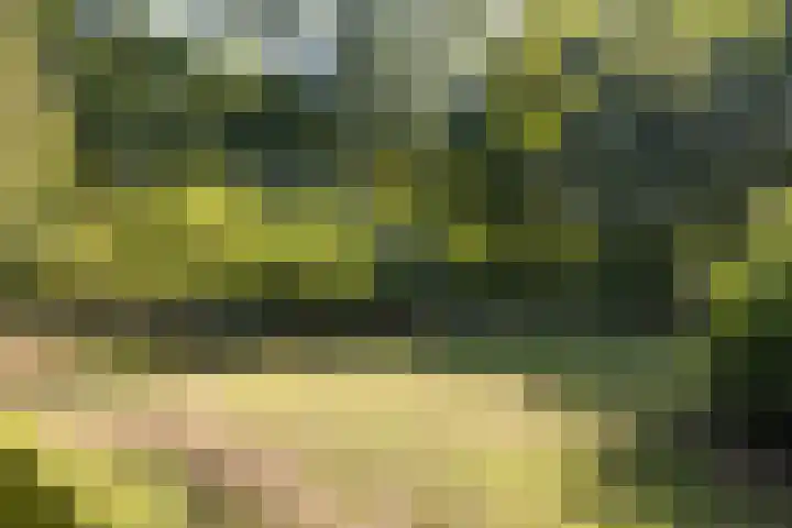Riel 7 Eindhoven thumbnail 13