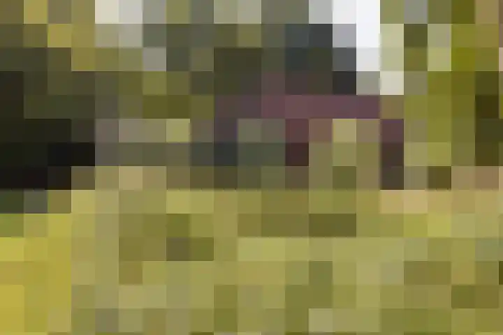 Riel 7 Eindhoven thumbnail 19