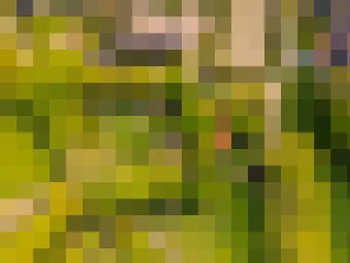 Riel 7 Eindhoven thumbnail 21