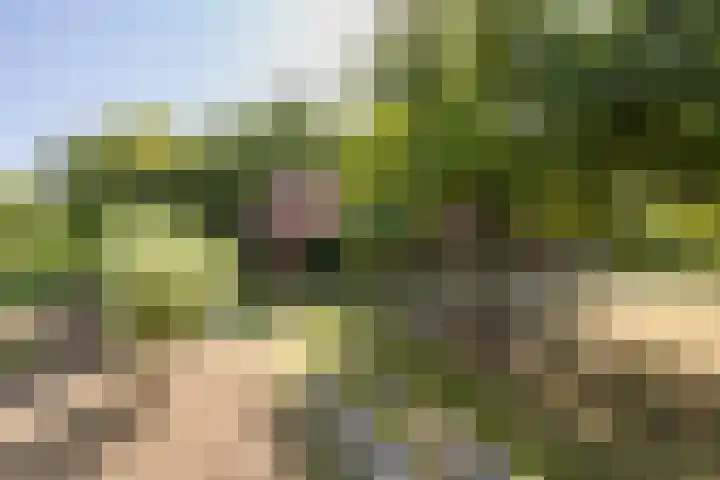 Riel 7 Eindhoven thumbnail 6