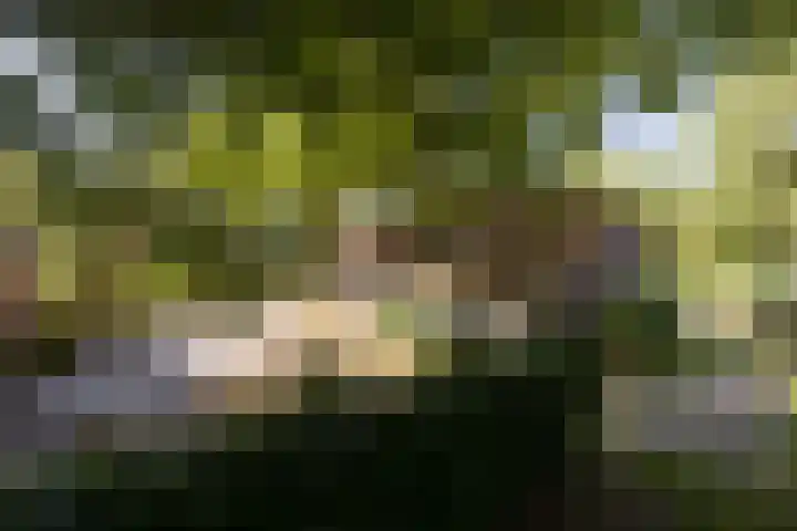 Riel 7 Eindhoven thumbnail 7