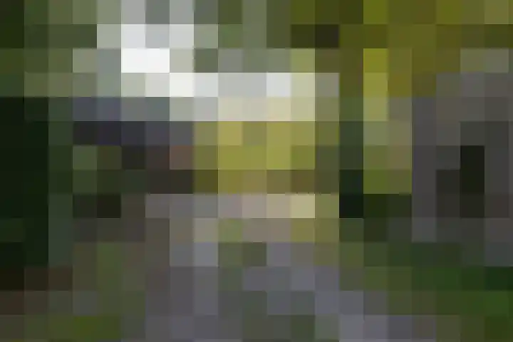 Riel 7 Eindhoven thumbnail 8