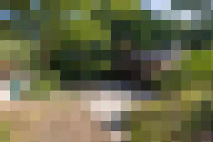 Riel 7 Eindhoven thumbnail 9