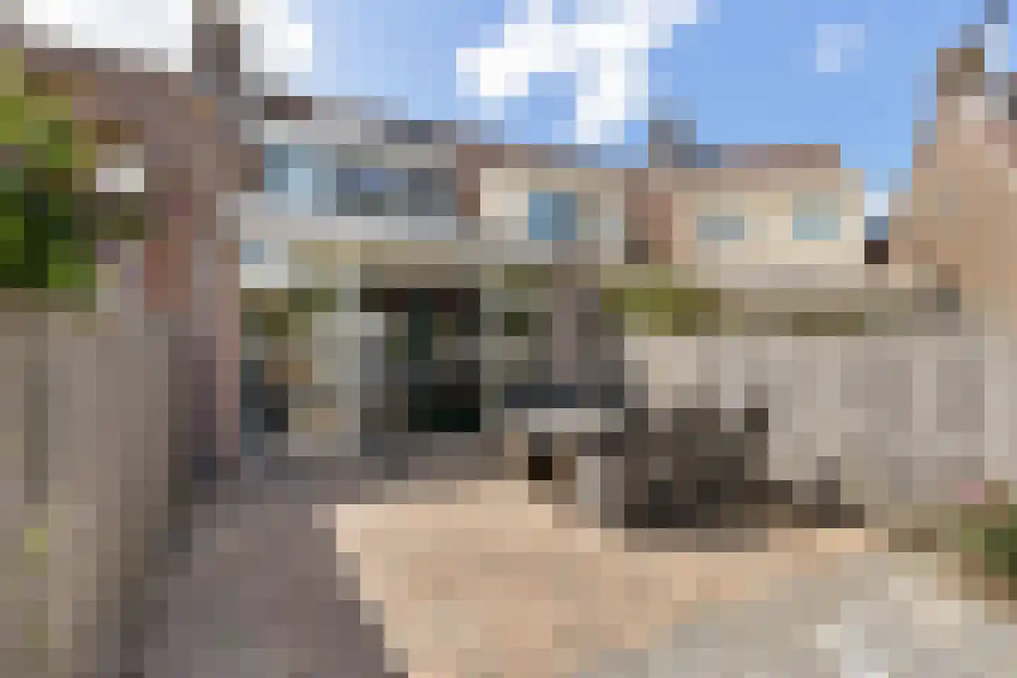 Rielant 53 Monnickendam thumbnail 33
