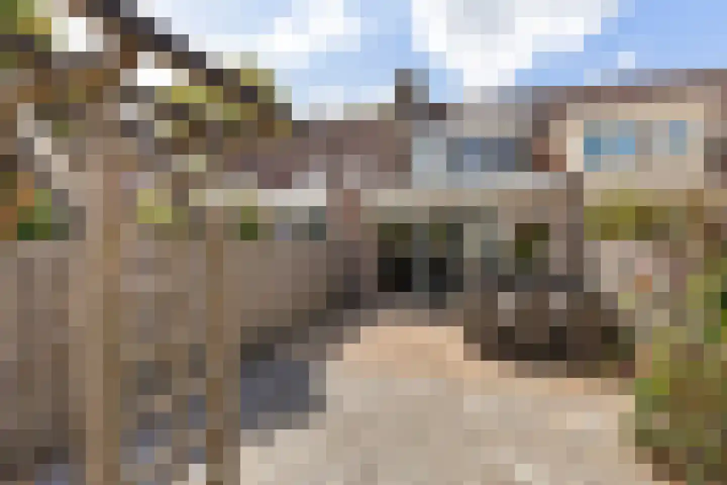 Rielant 53 Monnickendam thumbnail 4