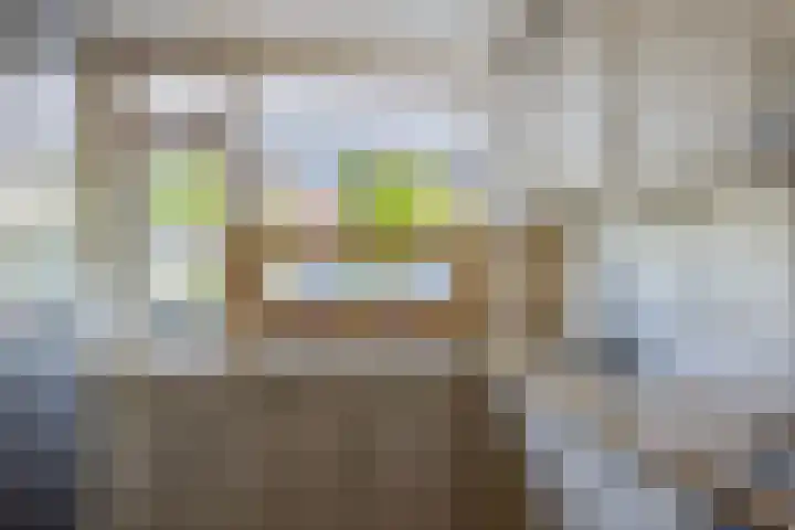 Rielant 68 Monnickendam thumbnail 15