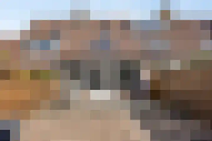 Rielant 68 Monnickendam thumbnail 24