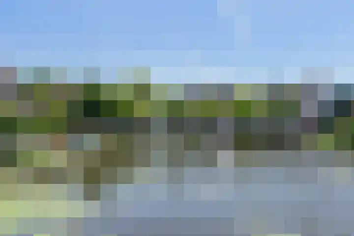 Rielant 68 Monnickendam thumbnail 27