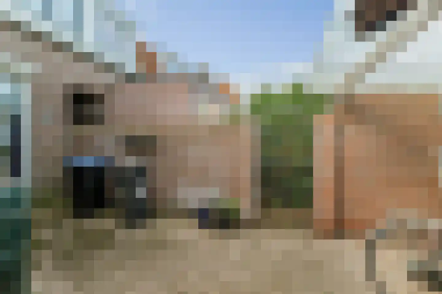 Rielerweg 125 Deventer thumbnail 21