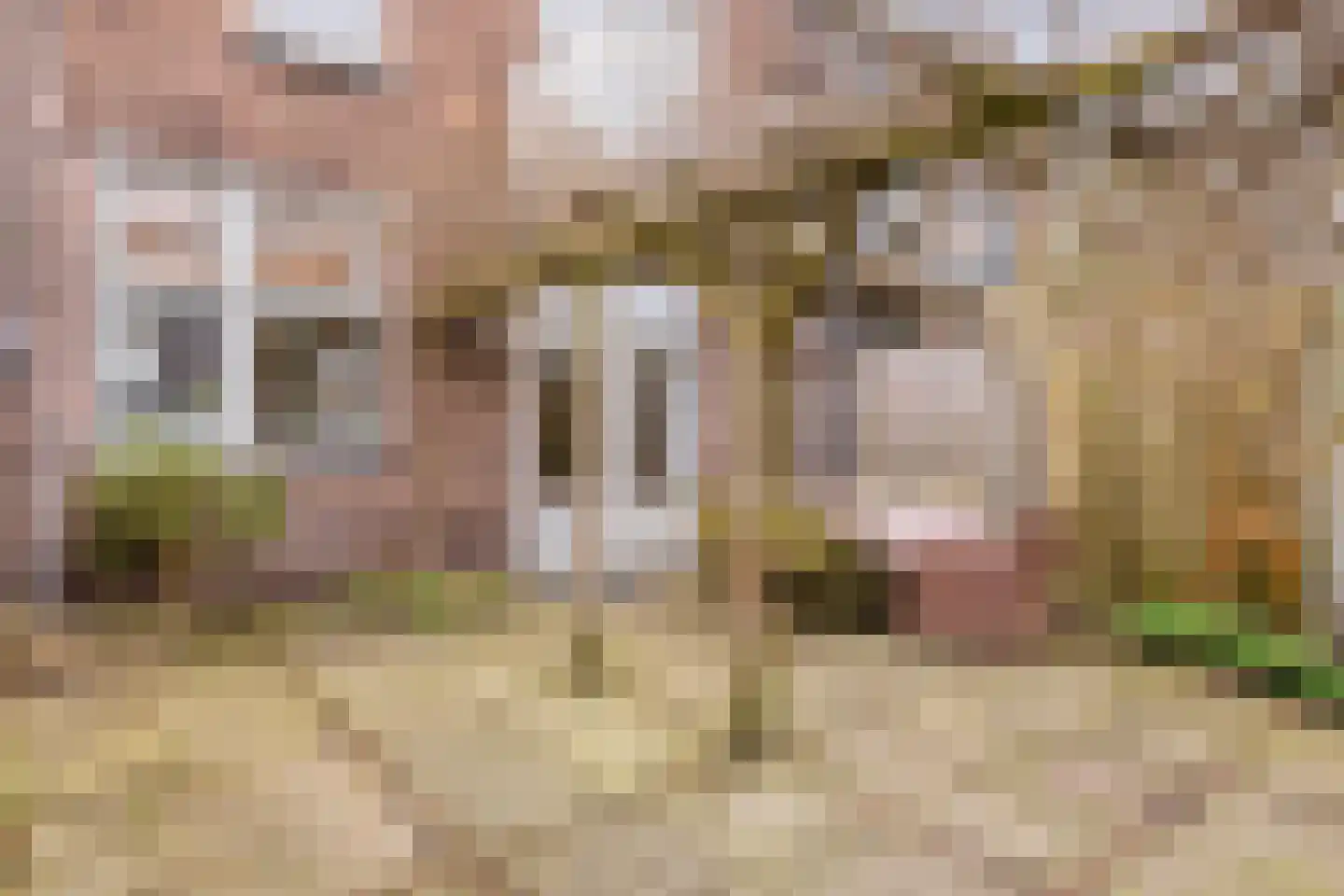 Rielerweg 126 Deventer thumbnail 24