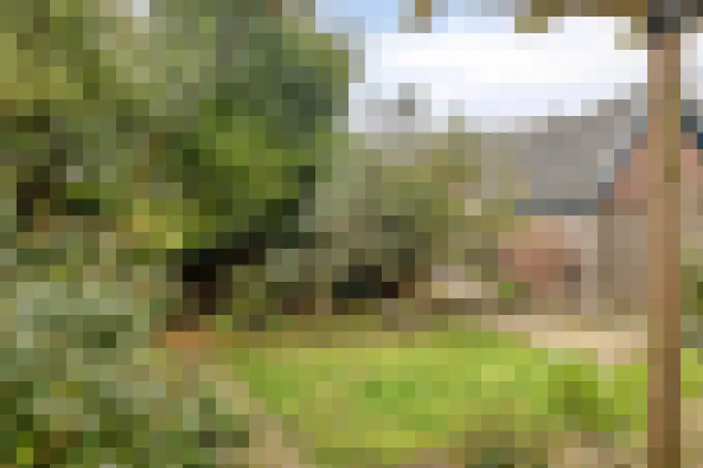 Rielerweg 130 Deventer thumbnail 33