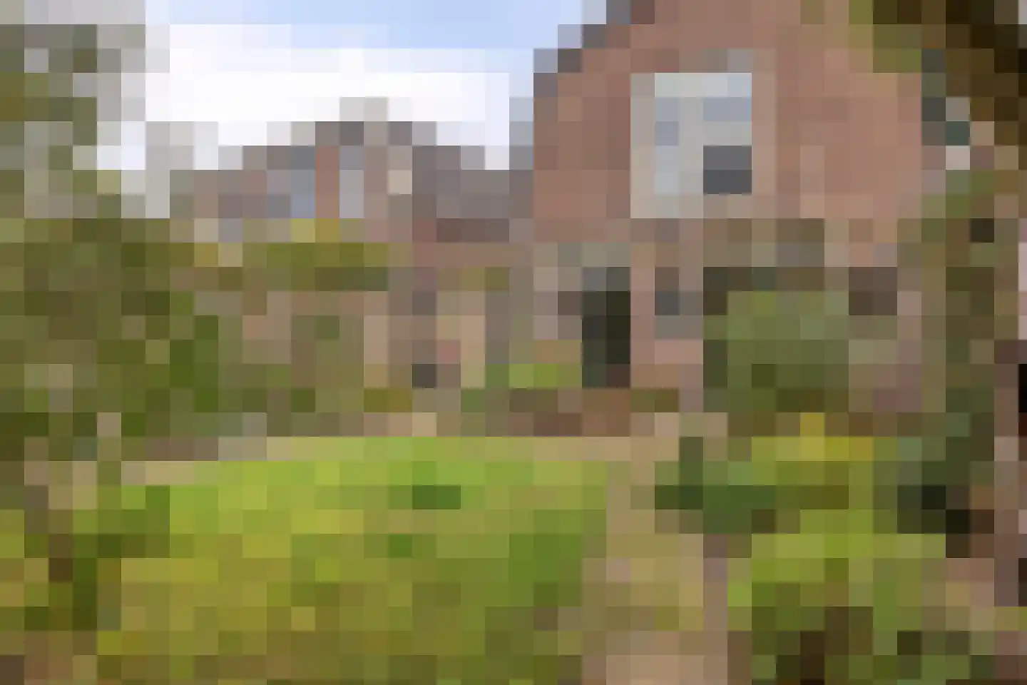 Rielerweg 130 Deventer thumbnail 34