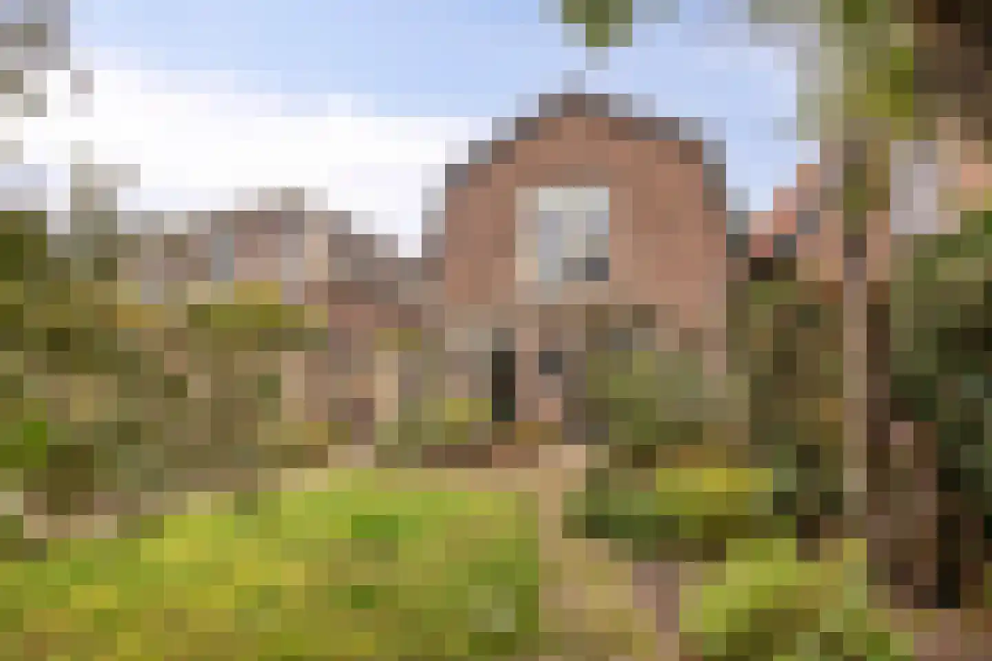 Rielerweg 130 Deventer thumbnail 35