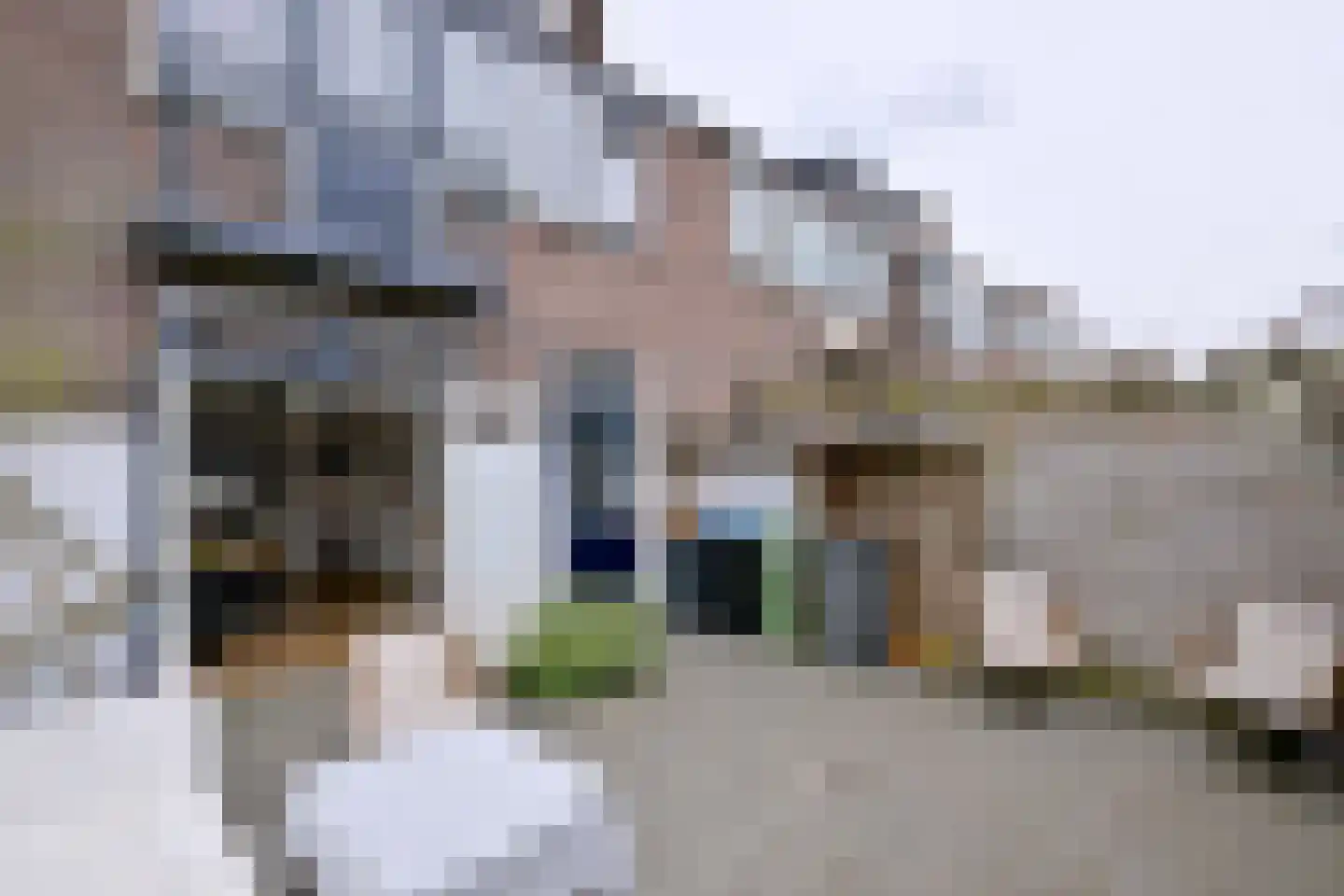 Rielerweg 163 Deventer thumbnail 32
