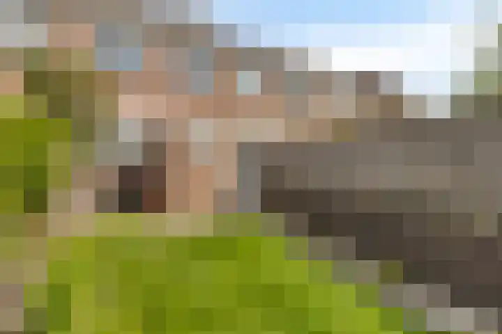 Rielerweg 60 Deventer thumbnail 21