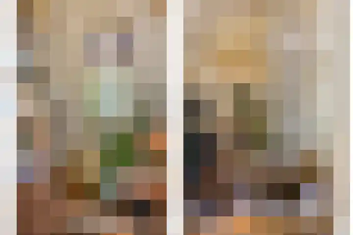 Rielsedijk 28 Geldrop thumbnail 10