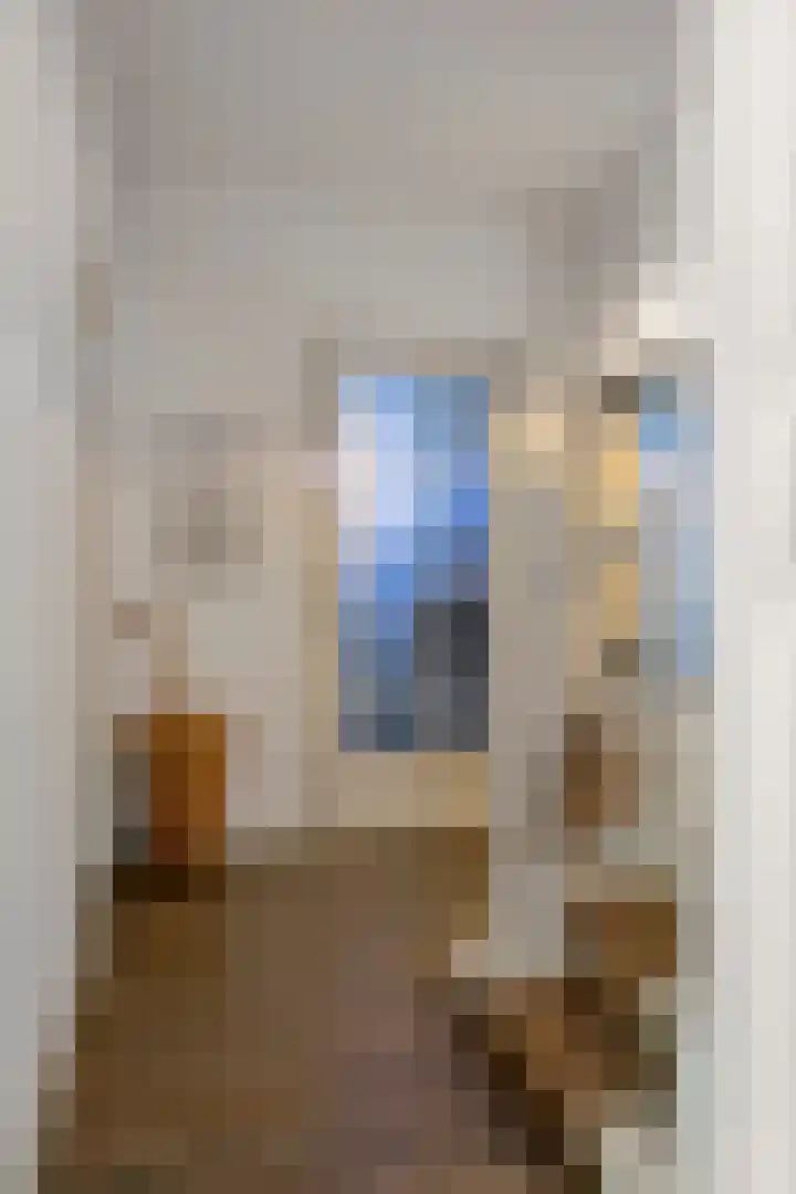 Rielsedijk 28 Geldrop thumbnail 12