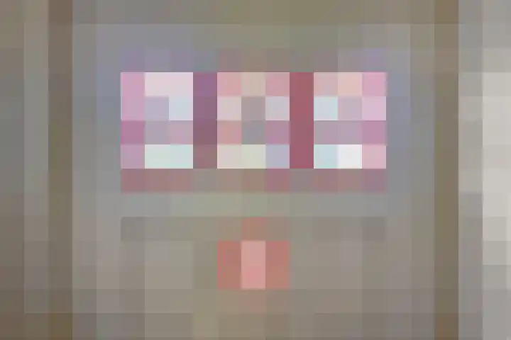 Rielsedijk 28 Geldrop thumbnail 13