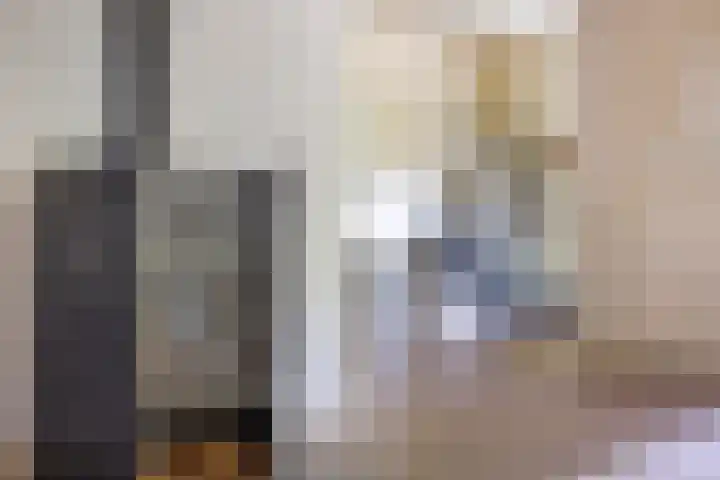 Rielsedijk 28 Geldrop thumbnail 14