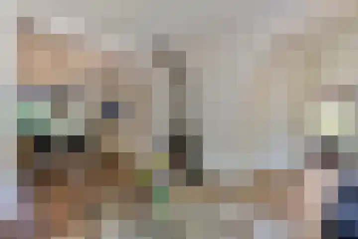 Rielsedijk 28 Geldrop thumbnail 15