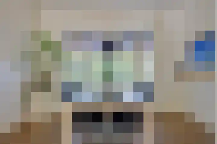 Rielsedijk 28 Geldrop thumbnail 16