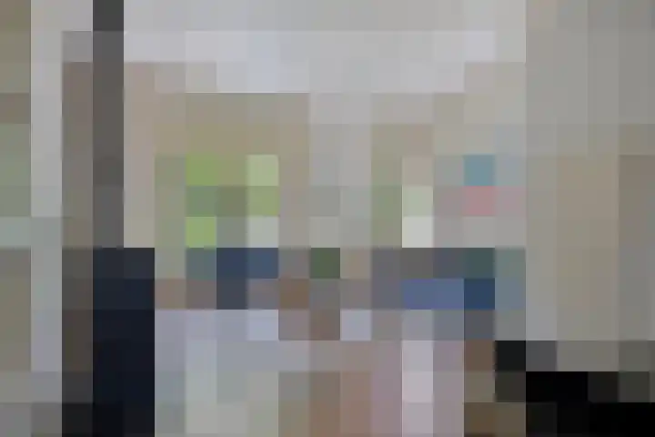 Rielsedijk 28 Geldrop thumbnail 17