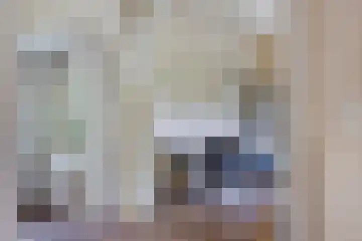 Rielsedijk 28 Geldrop thumbnail 18