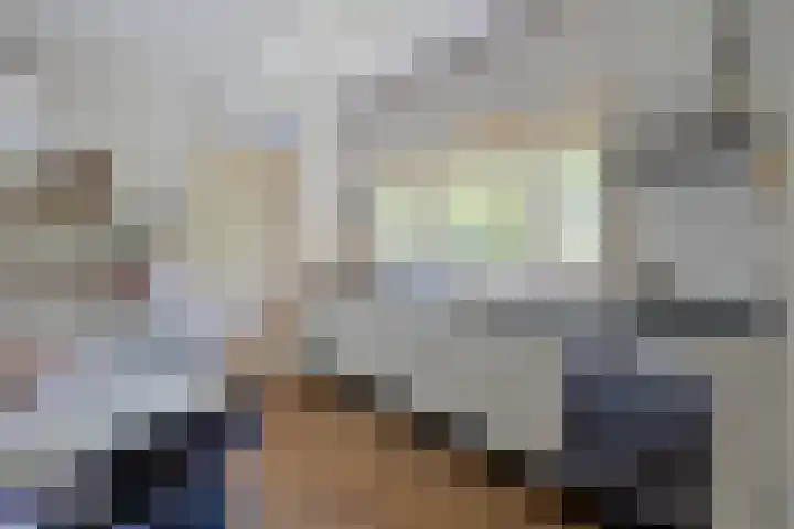 Rielsedijk 28 Geldrop thumbnail 19