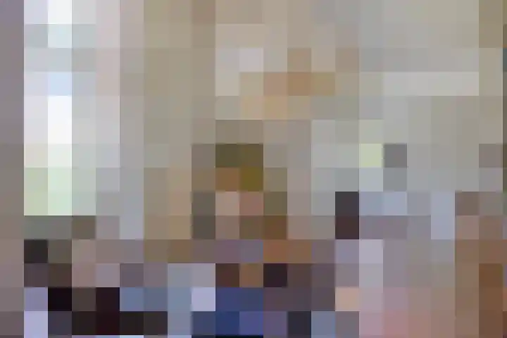 Rielsedijk 28 Geldrop thumbnail 22