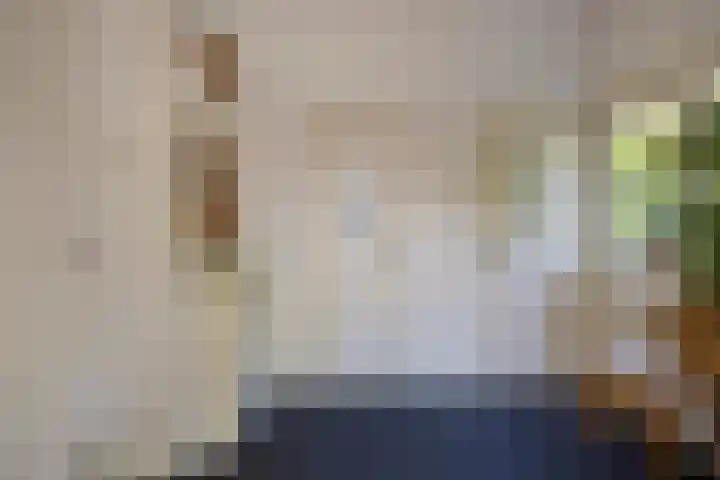 Rielsedijk 28 Geldrop thumbnail 23