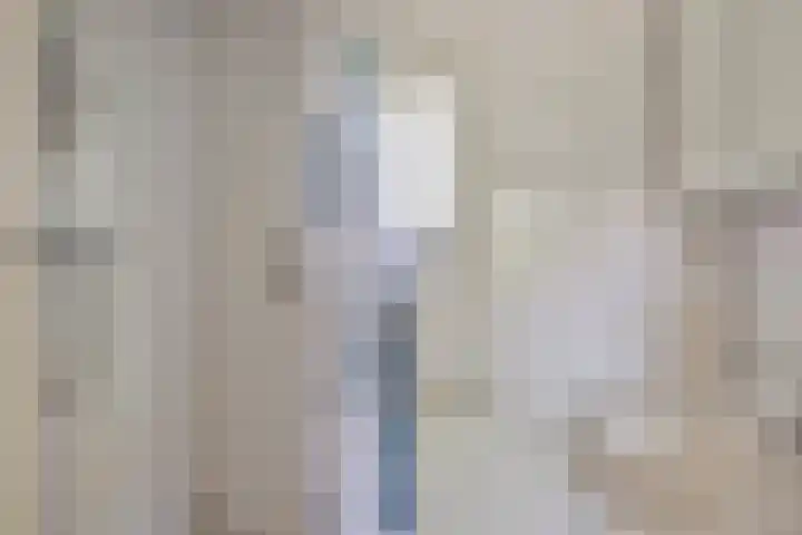 Rielsedijk 28 Geldrop thumbnail 24