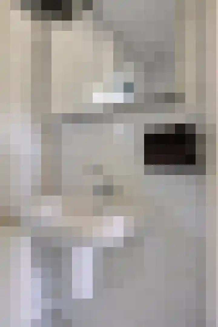 Rielsedijk 28 Geldrop thumbnail 26