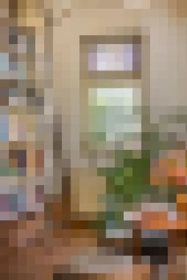 Rielsedijk 28 Geldrop thumbnail 28