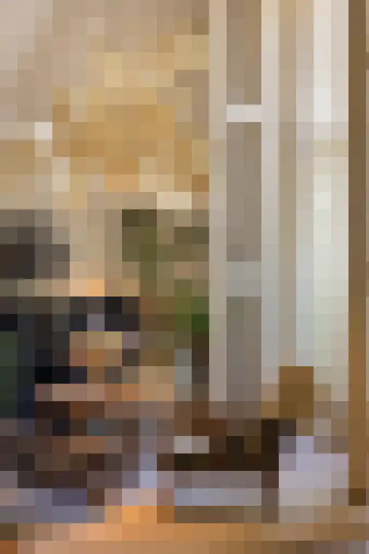 Rielsedijk 28 Geldrop thumbnail 29