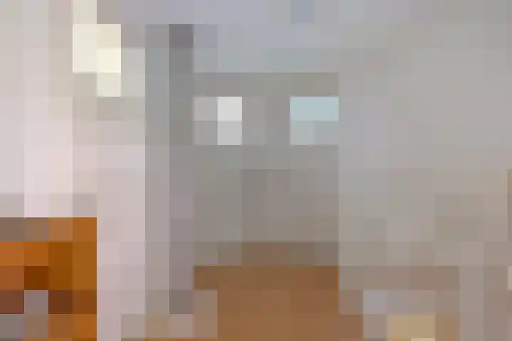 Rielsedijk 28 Geldrop thumbnail 31