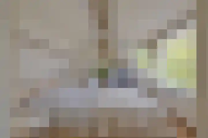 Rielsedijk 28 Geldrop thumbnail 32