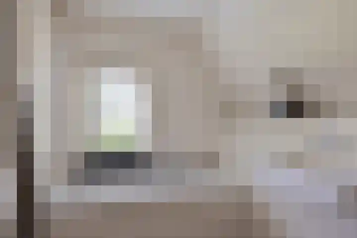 Rielsedijk 28 Geldrop thumbnail 34
