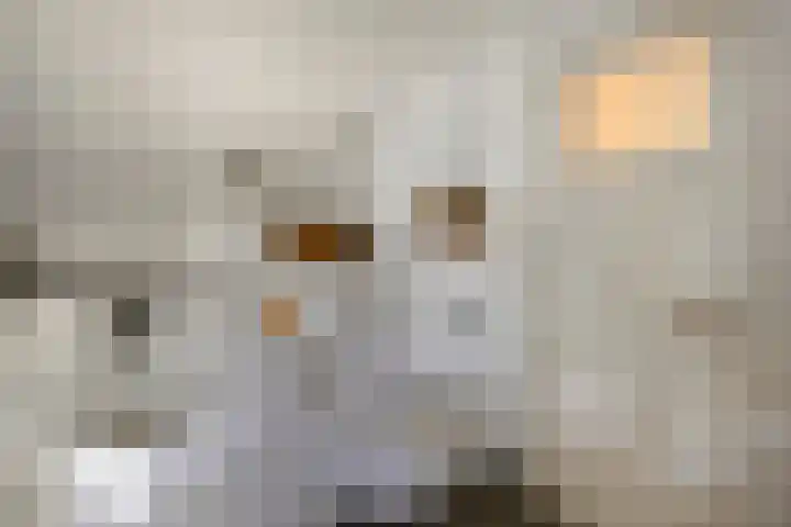 Rielsedijk 28 Geldrop thumbnail 35