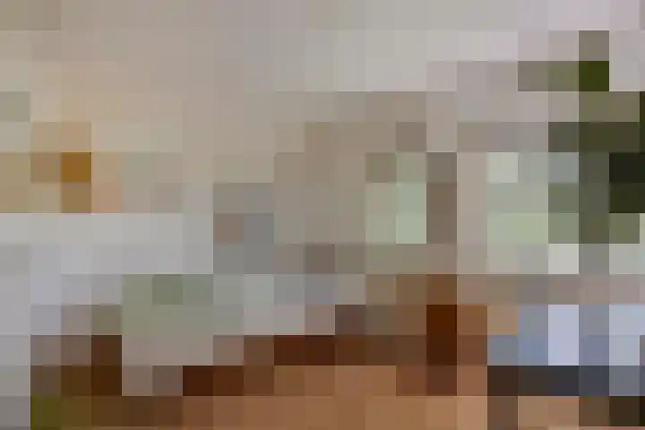 Rielsedijk 28 Geldrop thumbnail 36