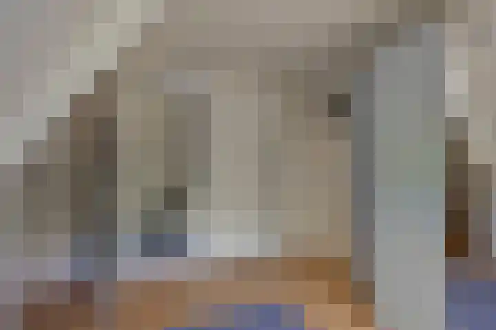 Rielsedijk 28 Geldrop thumbnail 38