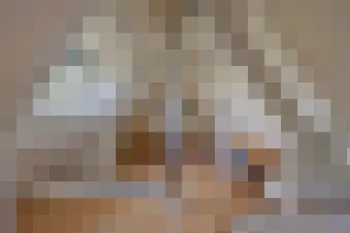 Rielsedijk 28 Geldrop thumbnail 40