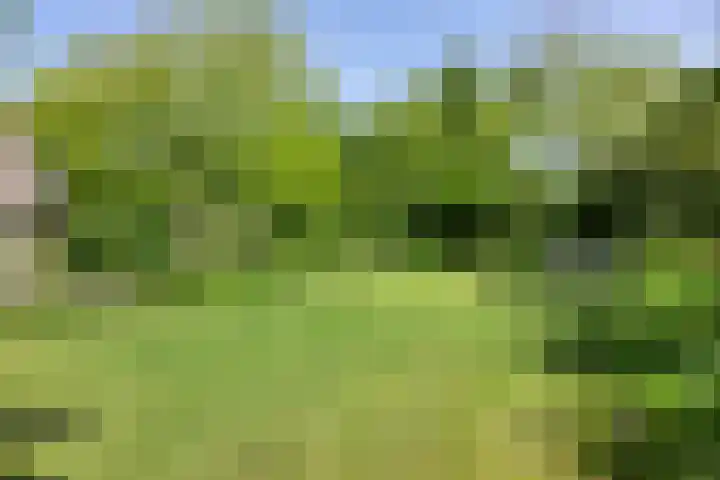 Rielsedijk 28 Geldrop thumbnail 44