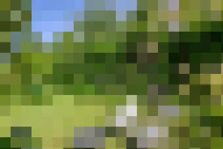 Rielsedijk 28 Geldrop thumbnail 45