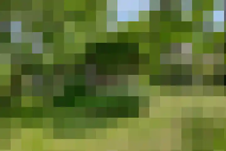Rielsedijk 28 Geldrop thumbnail 47