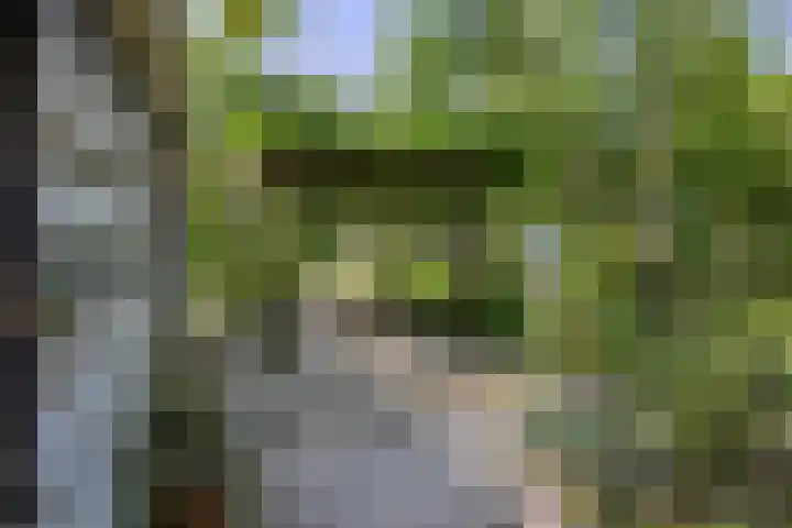 Rielsedijk 28 Geldrop thumbnail 48